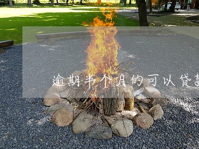 逾期半个月的可以贷款吗 逾期半个月的可以贷款吗