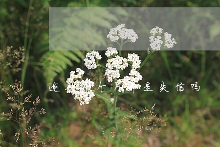 逾期半个月算是失信吗 逾期半个月算是失信吗