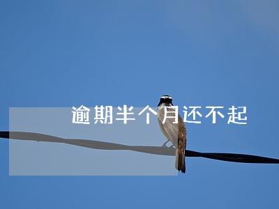 逾期半个月还不起 逾期半个月还不起
