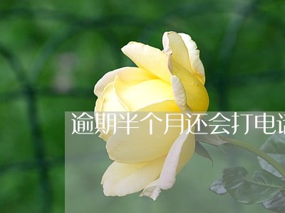 逾期半个月还会打电话吗 逾期半个月还会打电话吗