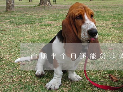 逾期半个月还能贷款吗 逾期半个月还能贷款吗