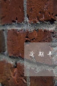 逾期半夜催收 逾期半夜催收