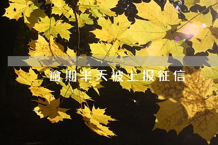 逾期半天被上报征信 逾期半天被上报征信