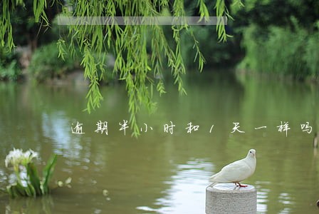 逾期半小时和1天一样吗 逾期半小时和1天一样吗