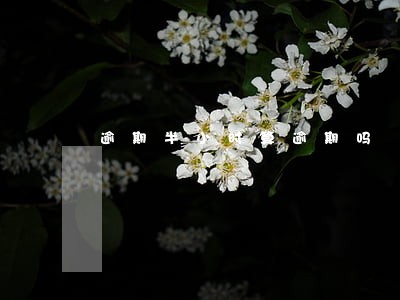 逾期半小时算逾期吗 逾期半小时算逾期吗