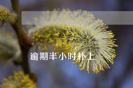 逾期半小时补上 逾期半小时补上