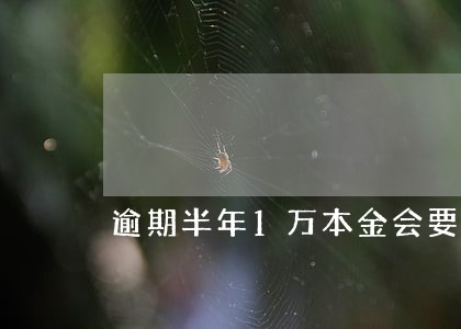 逾期半年1万本金会要还多少钱 逾期半年1万本金会要还多少钱