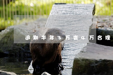 逾期半年3万变4万合理吗 逾期半年3万变4万合理吗