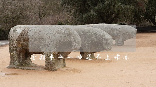 逾期半年一时还不上咋办