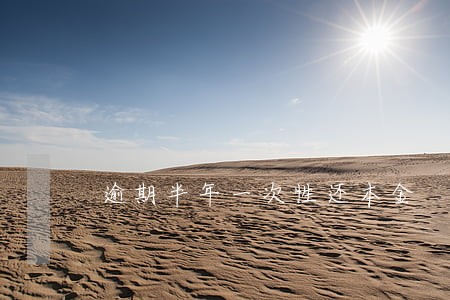 逾期半年一次性还本金 逾期半年一次性还本金