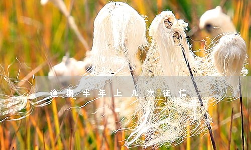 逾期半年上几次征信 逾期半年上几次征信