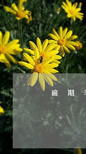 逾期半年上岸 逾期半年上岸