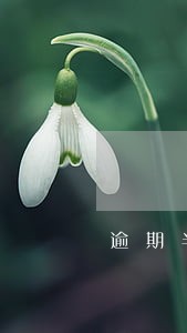 逾期半年上征信有影响吗 逾期半年上征信有影响吗
