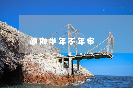 逾期半年不年审 逾期半年不年审