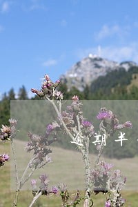 逾期半年业主终于等到收房