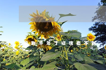 逾期半年了征信查不到