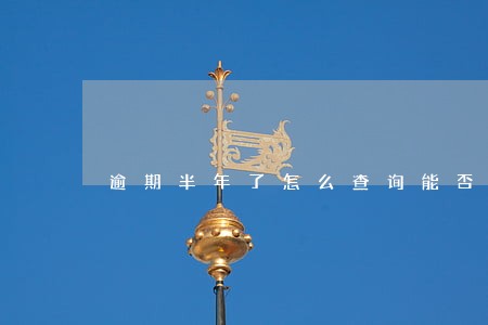 逾期半年了怎么查询能否坐高铁 逾期半年了怎么查询能否坐高铁