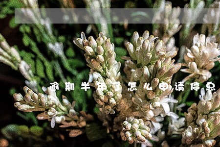 逾期半年了怎么申请停息挂帐 逾期半年了怎么申请停息挂帐