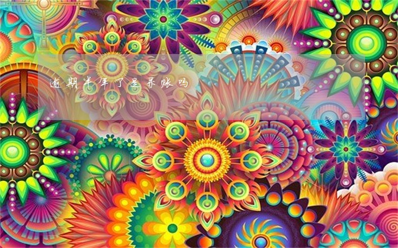 逾期半年了是呆账吗