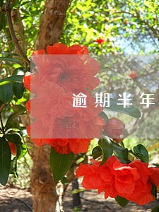逾期半年了没有接电话