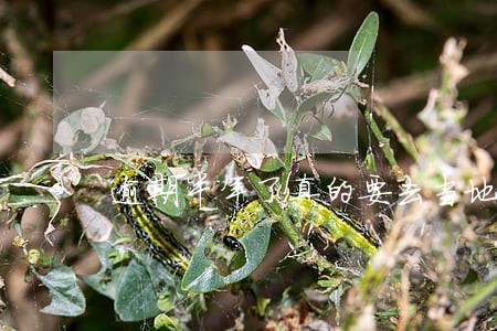 逾期半年了真的要去当地开庭吗 逾期半年了真的要去当地开庭吗