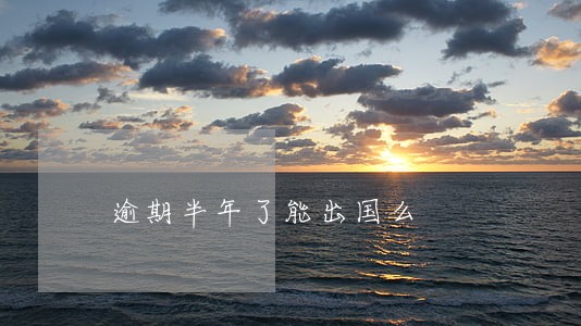逾期半年了能出国么 逾期半年了能出国么