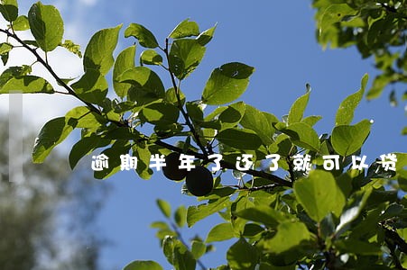 逾期半年了还了就可以贷款吗 逾期半年了还了就可以贷款吗