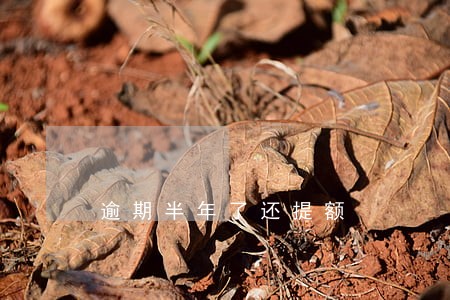 逾期半年了还提额