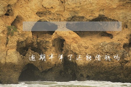 逾期半年了还能借钱吗