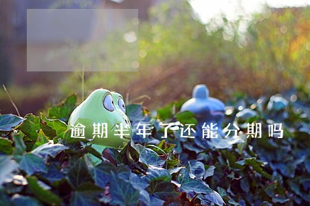 逾期半年了还能分期吗