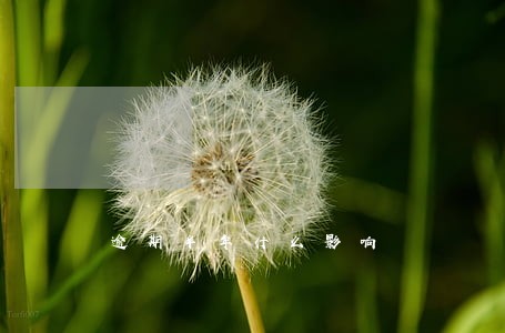 逾期半年什么影响 逾期半年什么影响