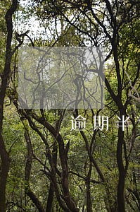 逾期半年会上门吗 逾期半年会上门吗
