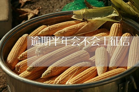 逾期半年会不会上征信 逾期半年会不会上征信