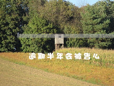 逾期半年会被告么 逾期半年会被告么