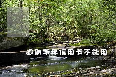 逾期半年信用卡不能用 逾期半年信用卡不能用