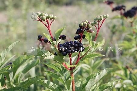 逾期半年信用卡被冻结 逾期半年信用卡被冻结