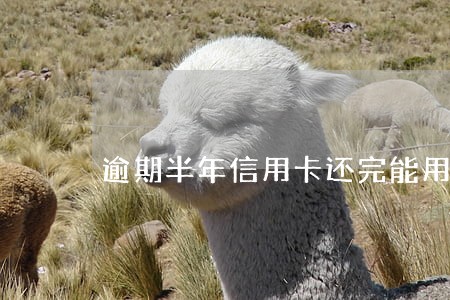 逾期半年信用卡还完能用吗 逾期半年信用卡还完能用吗