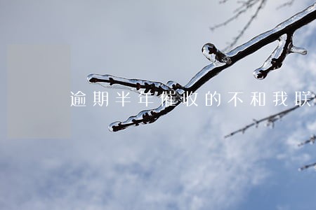 逾期半年催收的不和我联系了