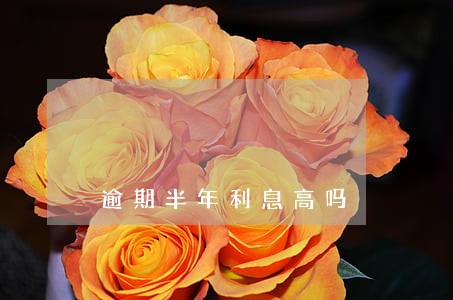 逾期半年利息高吗 逾期半年利息高吗