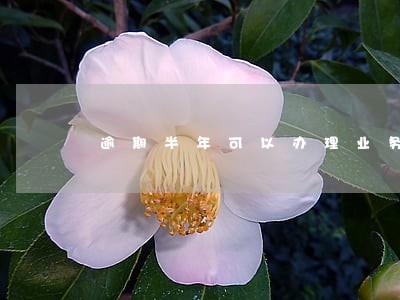 逾期半年可以办理业务吗 逾期半年可以办理业务吗