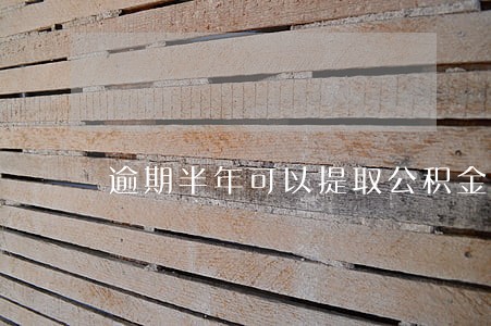 逾期半年可以提取公积金 逾期半年可以提取公积金