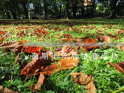 逾期半年后协商成功 逾期半年后协商成功