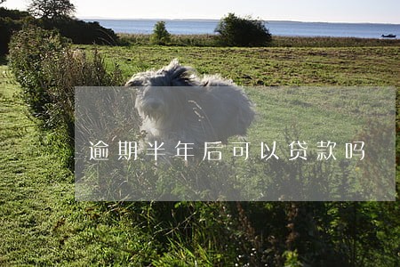 逾期半年后可以贷款吗