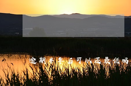 逾期半年后可以还最低吗 逾期半年后可以还最低吗