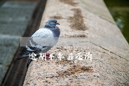 逾期半年后还清 逾期半年后还清