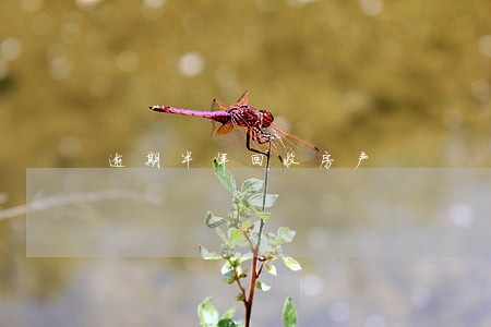 逾期半年回收房产 逾期半年回收房产