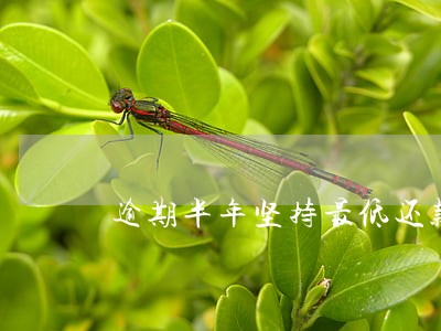 逾期半年坚持最低还款 逾期半年坚持最低还款