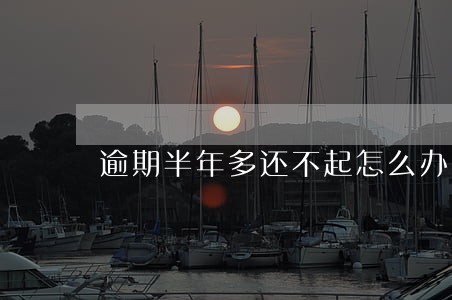 逾期半年多还不起怎么办