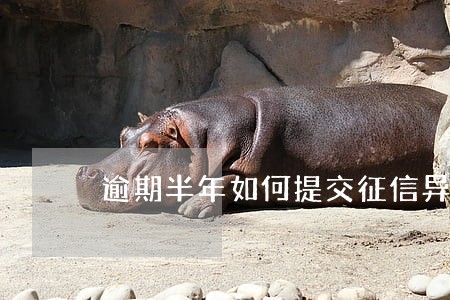 逾期半年如何提交征信异议 逾期半年如何提交征信异议