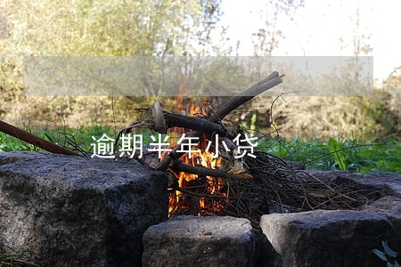 逾期半年小贷